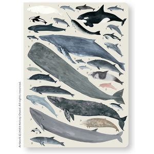 Orders of the Animals Journal