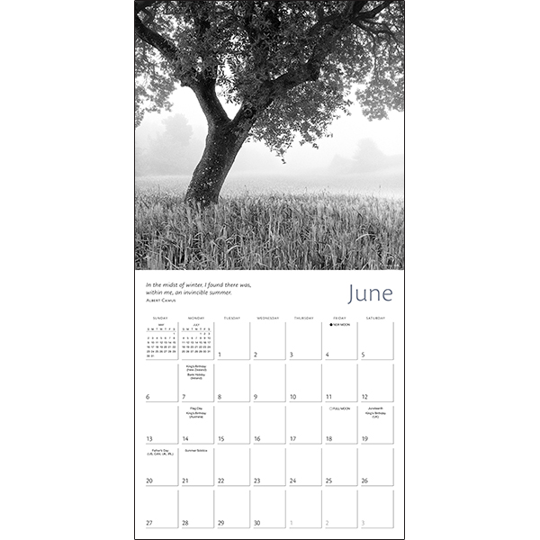 The Zen of Nature 2027 Wall Calendar - Image 4