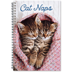 Cat Naps 2027 Weekly  Planner