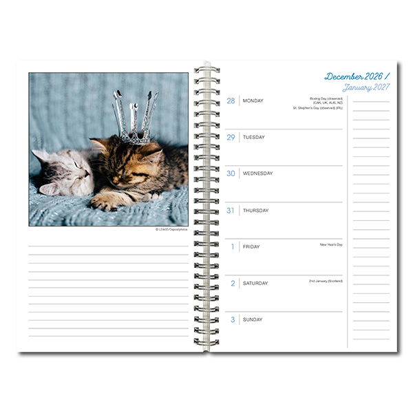 Cat Naps 2027 Weekly Planner - Image 4