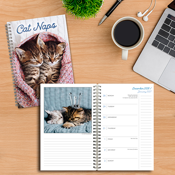 Cat Naps 2027 Weekly Planner - Image 5