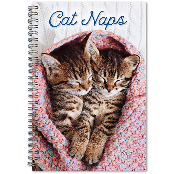 Cat Naps 2027 Weekly Planner