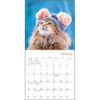 Cats In Hats 2026 Mini Calendar - Image 4