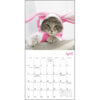 Cats In Hats 2026 Mini Calendar - Image 5