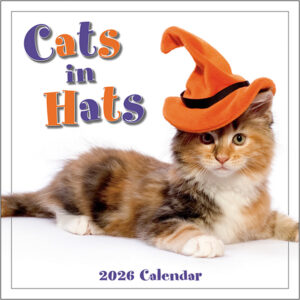 Cats In Hats 2026 Mini Calendar