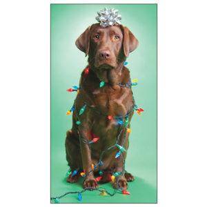 Christmas - Money Holder - C7936