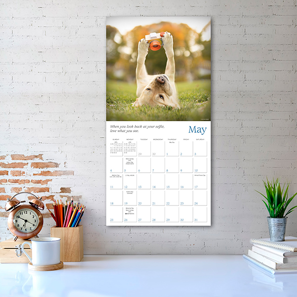 Dogma 2025 Wall Calendar RSVP