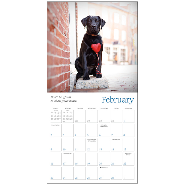Dogma 2025 Wall Calendar RSVP