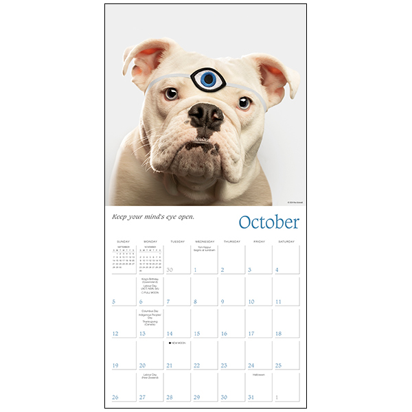 Dogma 2025 Wall Calendar RSVP