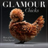 Glamour Chicks 2025 Wall Calendar - Image 3