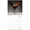 Glamour Chicks 2025 Wall Calendar - Image 5