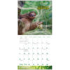 Stoner Sloths 2025 Wall Calendar - Image 5