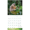 Stoner Sloths 2025 Wall Calendar - Image 4