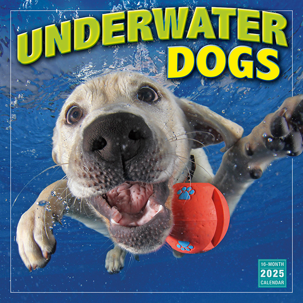 Underwater Dogs 2025 Wall Calendar RSVP