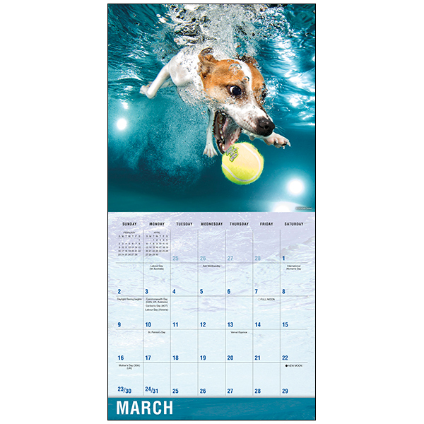 Underwater Dogs 2025 Wall Calendar RSVP