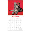 Cats In Hats 2025 Mini Calendar - Image 4