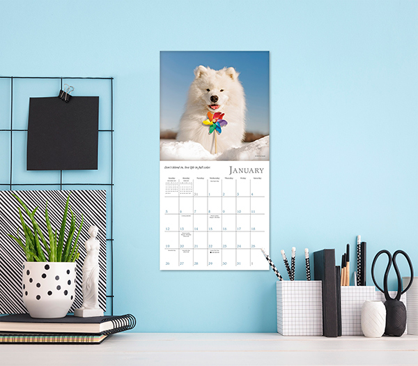 Dogma 2025 Mini Calendar RSVP