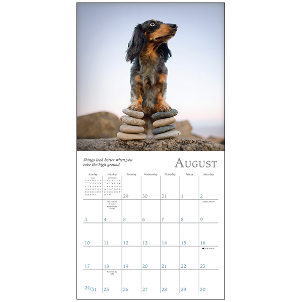 Dogma 2025 Mini Calendar RSVP