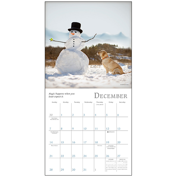 Dogma 2025 Mini Calendar RSVP