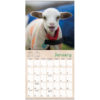 Lambies In Jammies 2025 Mini Calendar - Image 5