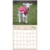 Lambies In Jammies 2025 Mini Calendar - Image 4