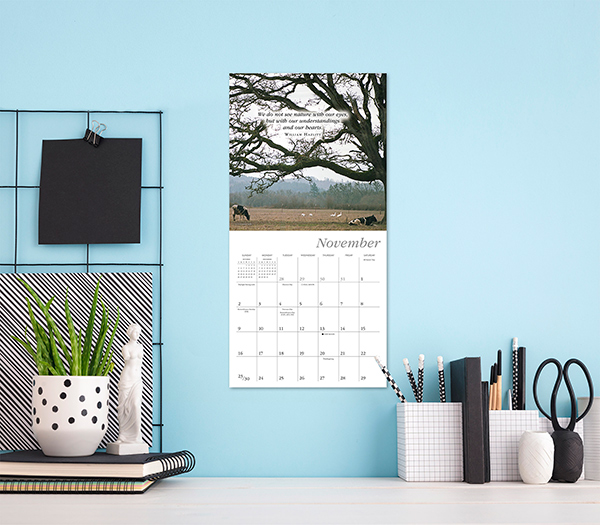 Simplicity 2025 Mini Calendar RSVP