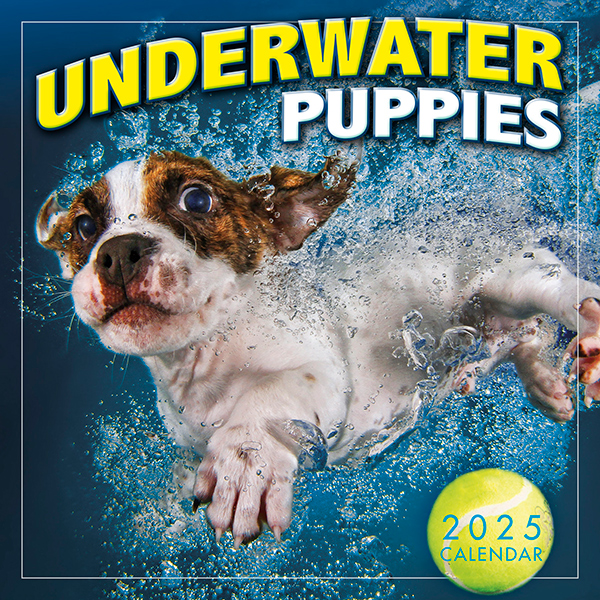 Underwater Puppies 2025 Mini Calendar RSVP