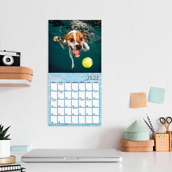 Underwater Puppies 2025 Mini Calendar RSVP