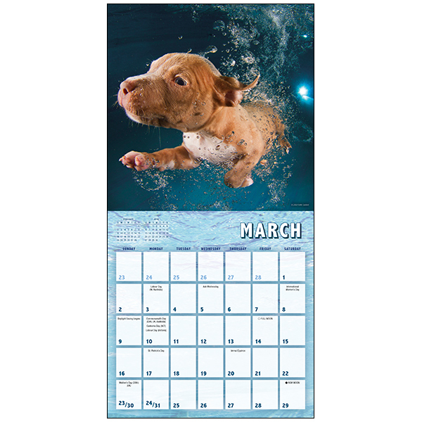 Underwater Puppies 2025 Mini Calendar RSVP