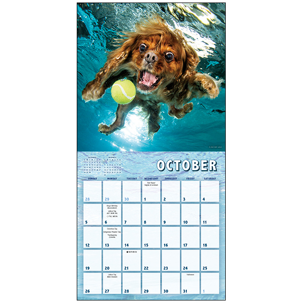 Underwater Puppies 2025 Mini Calendar RSVP