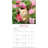 Cats In Bloom 2025 Mini Calendar - Image 5