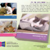 Cat Naps 2025 Daily Calendar - Image 3