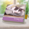 Cat Naps 2025 Daily Calendar - Image 2