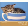 Cat Naps 2025 Daily Calendar - Image 4