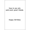 Birthday, Special Friend - B12123 - Image 2