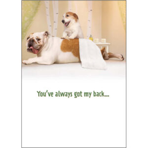 Birthday, Special Friend - B12489