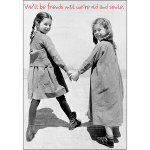 Birthday, Special Friend - B3145S