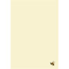 Blank Notes - NT8577 - Image 2