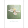 Thinking of You - TOY5106A - Image 2