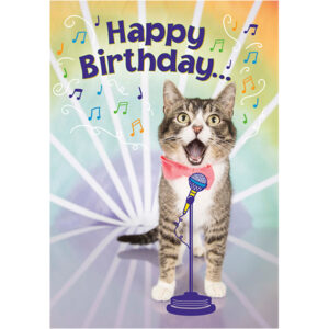 Birthday, Children - B11861