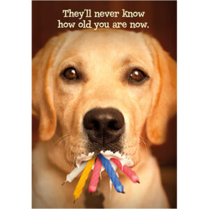 Birthday, Humor - B11946A
