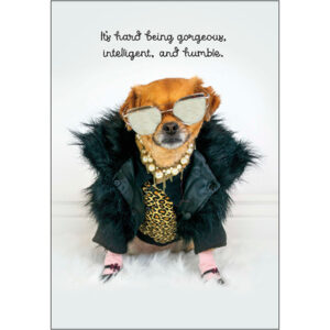 Birthday, Humor - B12114