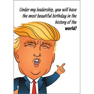 Birthday, Political - B13392