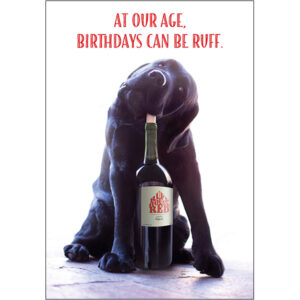 Birthday Humor - B12099