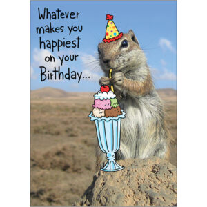 Birthday - B12701