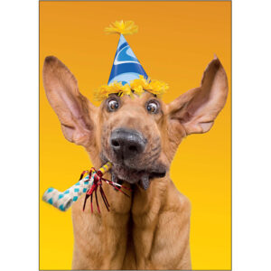 Birthday Humor - B13113