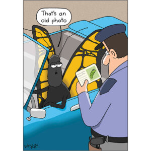 Birthday Humor - B3187S