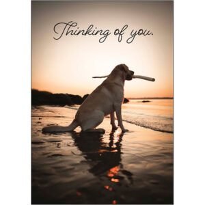 Thinking of You - TOY4943