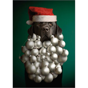 Christmas - C12570
