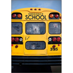 Graduation High School - G12880